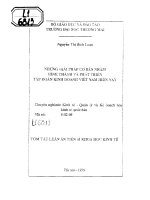 những giải pháp cơ bản nhằm hình thành và phát triền tập đoàn kinh doanh việt nam hiện nay