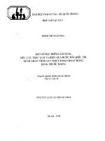 MỘT SỐ ĐẶC ĐIỂM LÂM SÀNG SIÊU CẤU TRÚC GAN VÀ HIỆU QUẢ BƯỚC ĐẦU ĐIỀU TRỊ  BỆNH NHÂN VIÊM GAN VIRUT B MẠN HOẠT ĐỘNG BẰNG THUỐC HAI NA