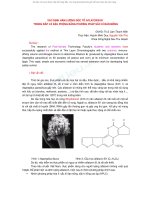 Xác định hàm lượng độc tố aflatoxin trong vitamin b1