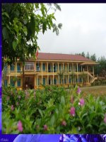 Thụ tinh và sự phát triển của thai