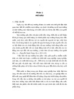 Đánh giá hiện trạng và các biện pháp giảm thiểu ô nhiễm môi trường nước của công ty TNHH MTV Vạn Xuân