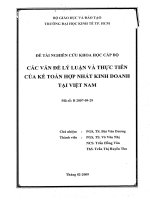 Các vấn đề lý luận và thực tiễn của kế toán hợp nhất kinh doanh tại Việt Nam