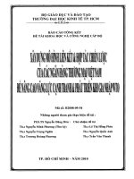 Xây dựng mô hình liên kết & hợp tác chiến lược của các ngân hàng thương mại Việt Nam để nâng cao năng lực cạnh tranh & phát triển khi gia nhập WTO