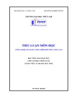 Tiểu luận môn học Công nghệ xây dựng công trình bê tông nâng cao