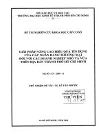 Giải pháp nâng cao hiệu quả tín dụng của các ngân hàng thương mại đối với các doanh nghiệp nhỏ và vừa tên địa bàn thành phố Hồ Chí Minh