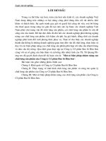 luận văn quản trị chất lượng    Một số biện pháp nhằm nâng cao chất lượng sản phẩm của Công ty Cổ phần Bao bì Bỉm Sơn