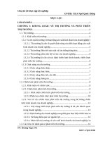 luận văn quản trị kinh doanh Chiến lược phát triển thị trường của công ty TNHH máy xây dựng Bình Phát