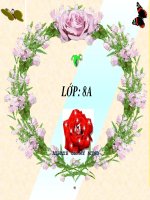 Giáo án tham khảo bồi dưỡng thao giảng, thi giáo viên hoá học lớp 8 Bài Nguyên tố hoá học (24)