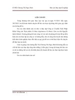 Kế toán doanh thu,chi phí và xác định kết quả kinh doanh” tại công ty cổ phần xuất nhập khẩu nông sản thực phẩm Cà Mau