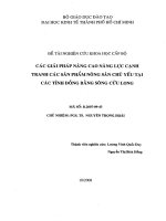 Các giải pháp nâng cao năng lực cạnh tranh các sản phẩm nông sản chủ yếu tại các tỉnh đồng bằng sông Cửu Long