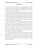 luận văn quản trị marketing Một số vấn đề bán buôn sản phẩm lốp thông qua đại lý trên thị trường các địa phương miền Bắc của Công ty Cổ phần Cao Su Sao Vàng.