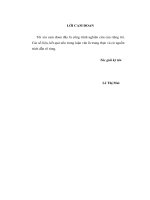 luận văn thạc sĩ  Giải pháp nâng cao chất lượng thẩm định dự án đầu tư tại chi nhánh Ngân hàng Công thương Đống Đa