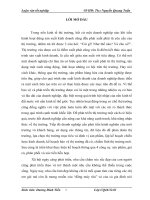 luận văn quản trị marketing Các giải pháp Marketing nhằm bảo vệ và phát triển thị trường cho Công ty TNHH Việt Tường