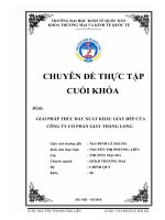 luận văn quản trị chiến lược Giải pháp thúc đẩy xuất khẩu giầy dép của Công ty Cổ phần Giầy Thăng Long