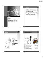 Hệ thống kiểm soát nội bộ (Môn Kiểm Toán 1)