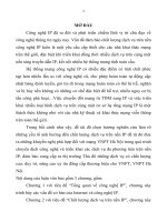 luận văn quản trị chất lượng  Chất lượng dịch vụ trên nền IP