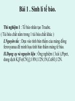 phuong bai giang thi nghiem