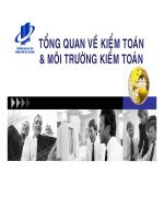 Tổng quan kiểm toán và môi trường kiểm toán (Môn Kiểm Toán 1)