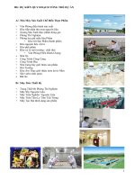 Dự án chế biến hạt nêm từ nấm