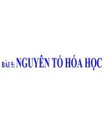 Giáo án tham khảo bồi dưỡng thao giảng, thi giáo viên hoá học lớp 8 Bài Nguyên tố hoá học (1)