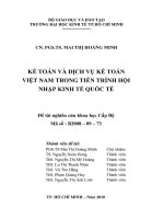 Kế toán và dịch vụ kế toán Việt Nam trong tiến trình hội nhập kinh tế quốc tế  Mai Thị Hoàng Minh. - TP.HCM Trường Đại Học Kinh Tế
