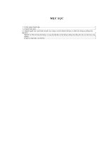 luận văn quản trị kinh doanh  Tình hình kinh doanh tại công ty TNHH cơ điện đo lường tự động hóa KDNEC