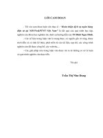 Hoàn thiện dịch vụ ngân hàng điện tử tại Ngân hàng nông nghiệp và phát triển nông thôn Việt Nam