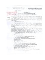 Số: 01-KH/BCĐ ngày 17/3/2011 Kế hoạch Tổ chức kỷ niệm 80 năm ngày thành lập Đoàn TNCS HCM (26/3/1931 - 26/3/2011)