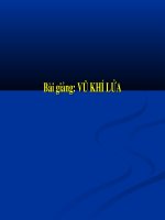 Bài giang VŨ KHÍ LỬA