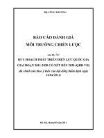 báo cáo đánh giá môi trường chiến lược của dự án quy hoạch phát triển điện lực quốc gia giai đoạn 2011 2020 có xét đến 2030