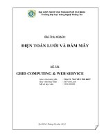 Tiểu luận môn điện toán lưới và đám mây GRID COMPUTING & WEB SERVICE