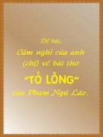 CẢM NGHĨ VỀ BÀI 
