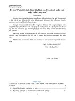 Phân tích tình hình tài chính của công ty cổ phần xuất nhập khẩu lạng sơn