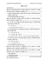 báo cáo thực tập: SỰ HÌNH THÀNH VÀ PHÁT TRIỂN CỦA CÔNG TY TNHH THƯƠNG MẠI VÀ DỊCH VỤ THIÊN TÂN
