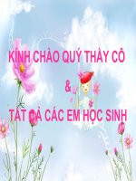 bài 37 : thức ăn vật nuôi