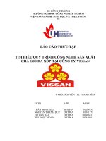 TÌM HIỂU QUY TRÌNH CÔNG NGHỆ sản XUẤT CHẢ GIÒ DA xốp tại CÔNG TY VISSAN