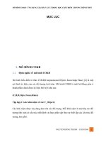 MÔ HÌNH COKB - ỨNG DỤNG GIẢI BÀI VẬT LÝ ĐỘNG HỌC CHẤT ĐIỂM CHƯƠNG TRÌNH THPT