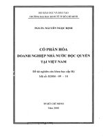 Cổ phần hóa doanh nghiệp nhà nước độc quyền tại Việt Nam