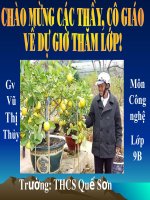 cong nghe 9. ky thuat trong cay an qua co mui