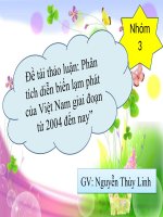 SILDE Phân tích diễn biến lạm phát của việt nam giai đoạn từ 2004 đến 2014
