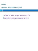 SLIDE trả công lao động chương 6   lao động trong khu vực công