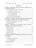 luận văn quản trị kinh doanh  GIỚI THIỆU CHUNG VỀ CÔNG TY TNHH SẢN XUẤT THƯƠNG MẠI VIKOSAN