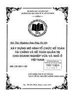 Xây dựng mô hình tổ chức kế toán tài chính và kế toán quản trị cho doanh nghiệp vừa và nhỏ ở Việt Nam