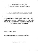Giải pháp đa dạng hóa và nâng cao chất lượng sản phẩm dịch vụ tại các ngân hàng thương mại trên địa bàn thành phố Hồ Chí Minh