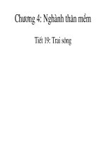 Bai 19: trai song