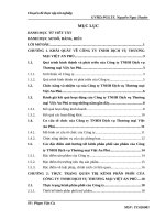 HOÀN THIỆN KÊNH PHÂN PHỐI MỸ PHẨM CỦA CÔNG TY TNHH DVTM VIỆT AN PHÚ