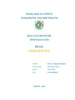 Tiểu luận môn tính toán lưới chủ đề Grid Service