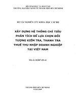 Xây dụng hệ thống chỉ tiêu phân tích để lựa chọn đối tượng kiểm tra, thanh tra thuế thu nhập doanh nghiệp tại Việt Nam