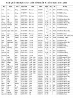 KẾT QUẢ HSG TỈNH NĂM 2010-2011