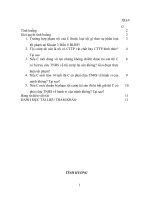 Bài tập lớn luật hình sự